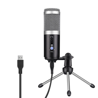 Computer microphone